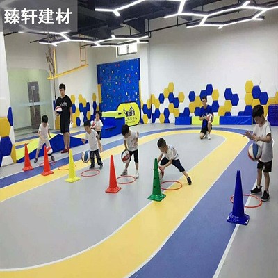 私教球纹防静电地胶 儿童体能训练中心地胶 健身房游乐场PVC地板