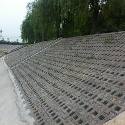 河道边进口砖机生产混凝土护坡砖 100平方米起批