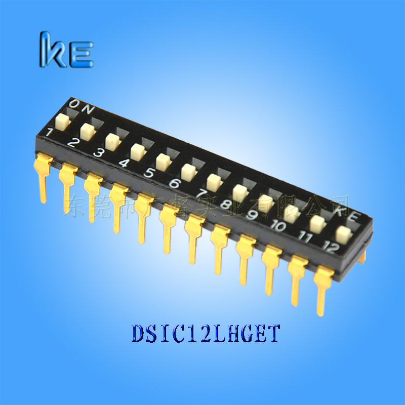 DSIC12LHGET高推插件式