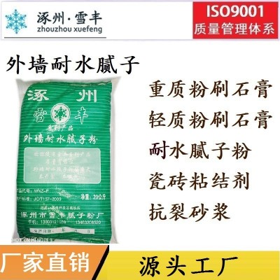 雪丰-优质外墙柔性腻子粉 外墙耐水腻子 防水腻子 省料-厂家批发